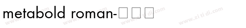 metabold roman字体转换